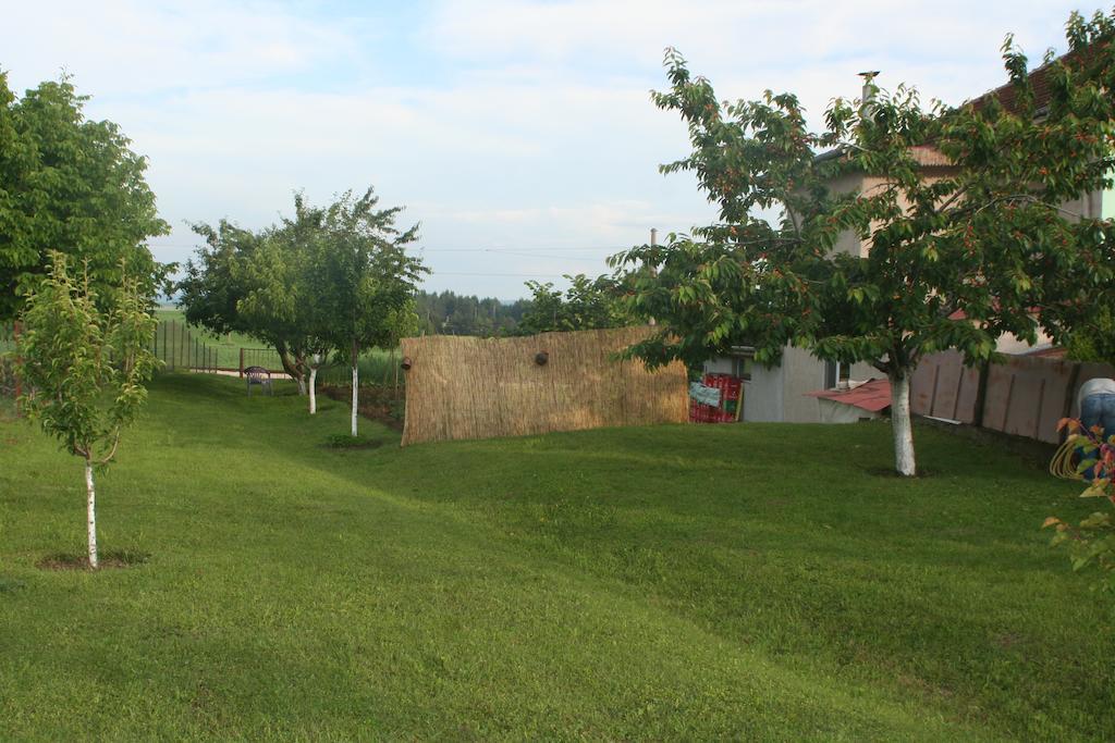 Guest House Edelvais Dve Mogili Luaran gambar