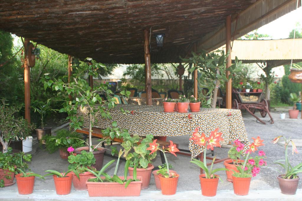 Guest House Edelvais Dve Mogili Luaran gambar